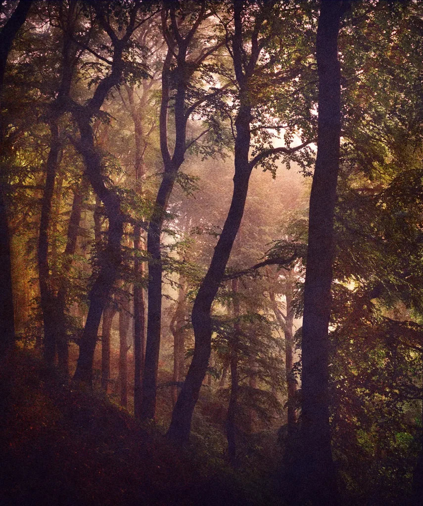 Park Semper III - 20 x 24 cm