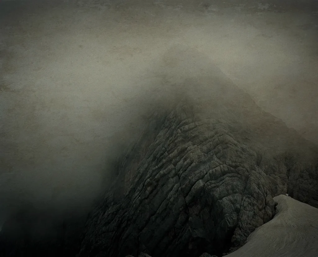 Torstein, 2019