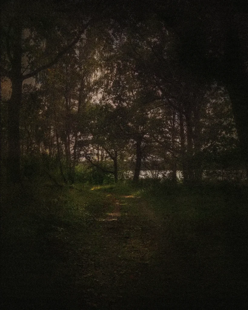 Am Tiefsee, 2024