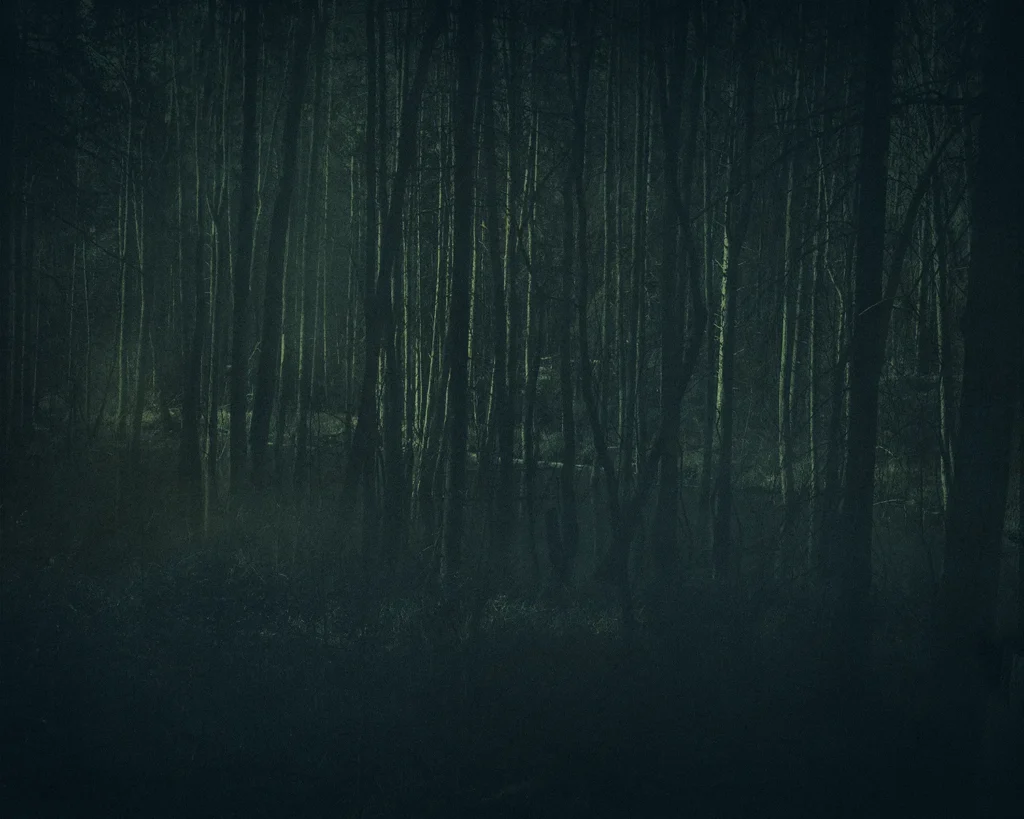 Blauer Wald, 2023