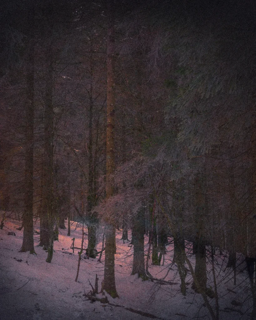 Winterabend, 2025