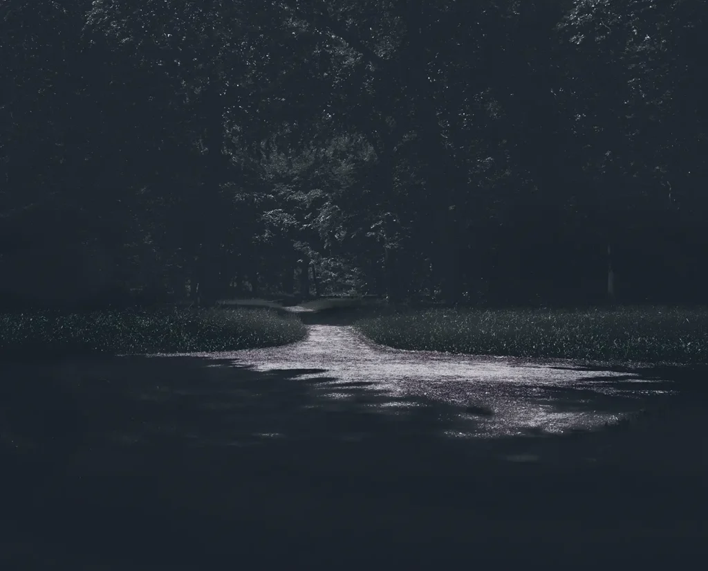 Nächtliche Parklandschaft, 2018